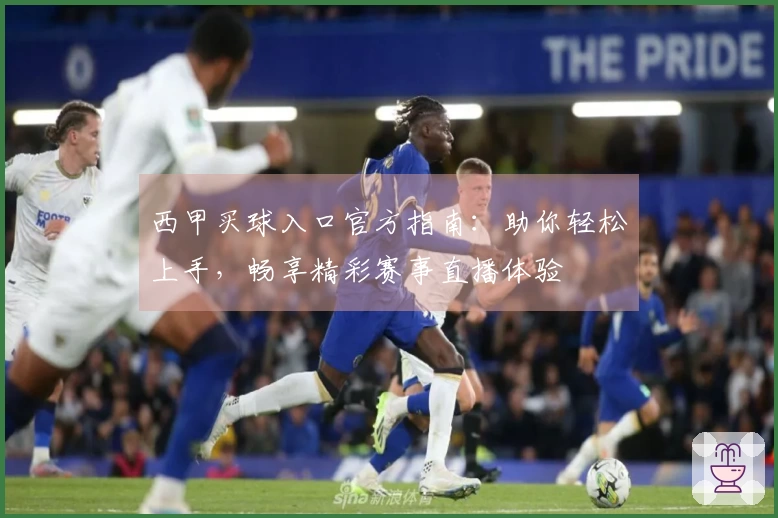 西甲买球入口官方指南：助你轻松上手，畅享精彩赛事直播体验