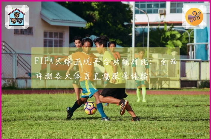 FIFA买球正规平台功能对比：全面评测各大体育直播服务体验